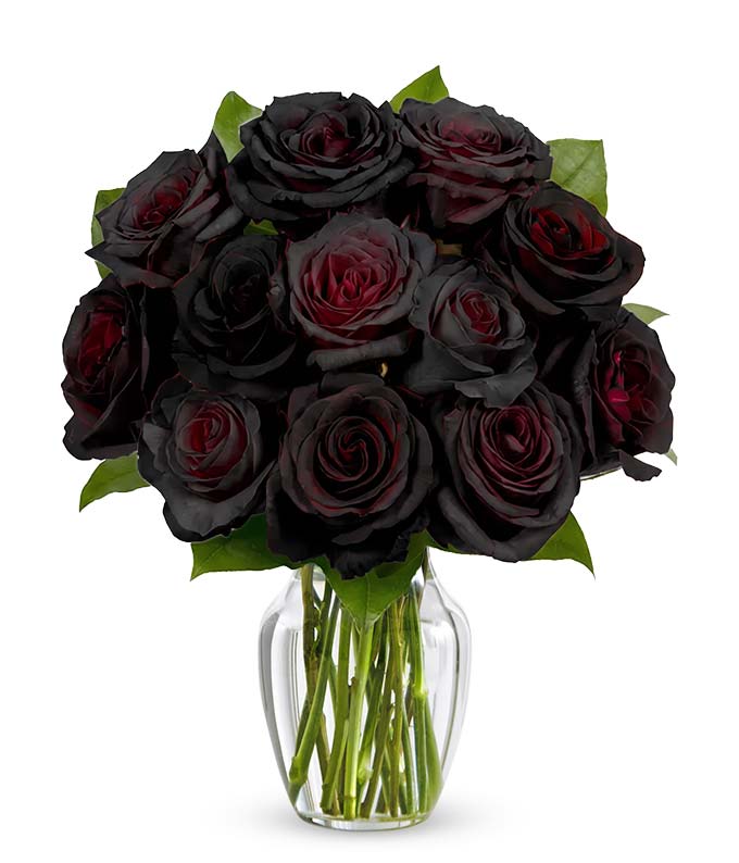 One Dozen Black Roses