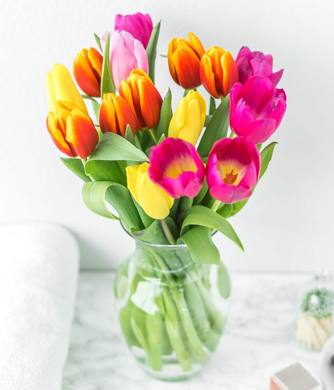 Rainbow Tulip Bouquet - 15 Stems