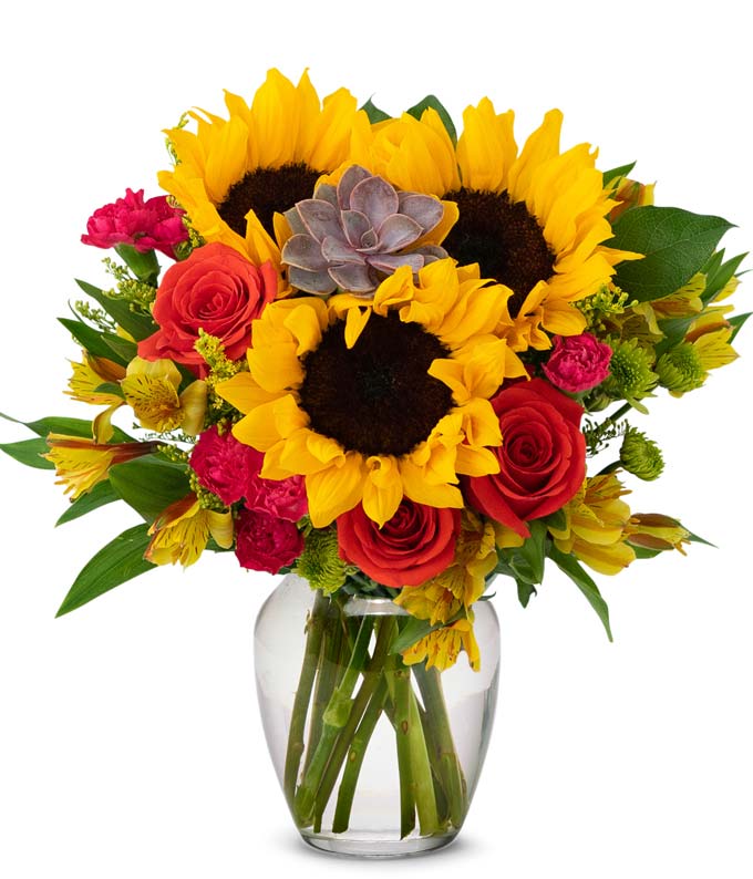 Sweetest Sunflower Succulent Bouquet