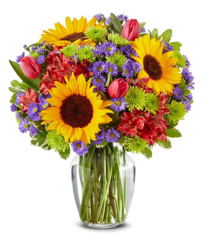 Lush Sunflower Garden