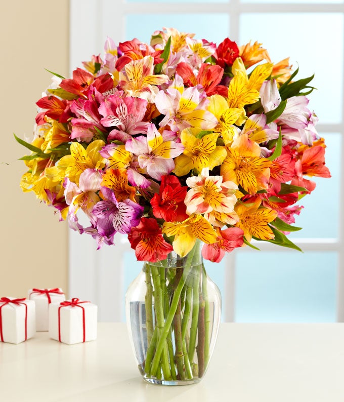 24 Stem Multicolor Rainbow Alstroemeria Bouquet