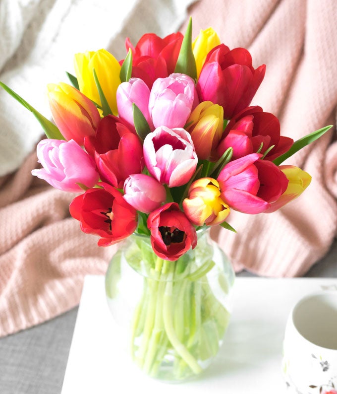Rainbow Tulip Bouquet - 15 Stems at From You Flowers