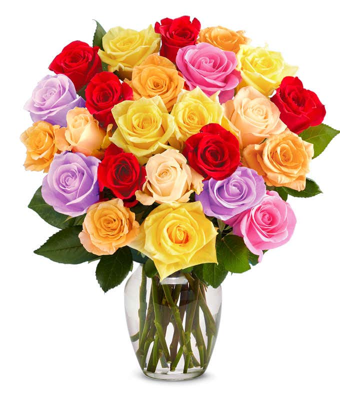 Two Dozen Rainbow Roses