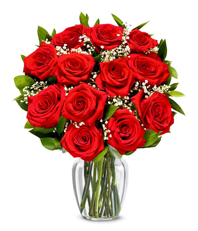 One Dozen Red Roses + Chocolate + Bear