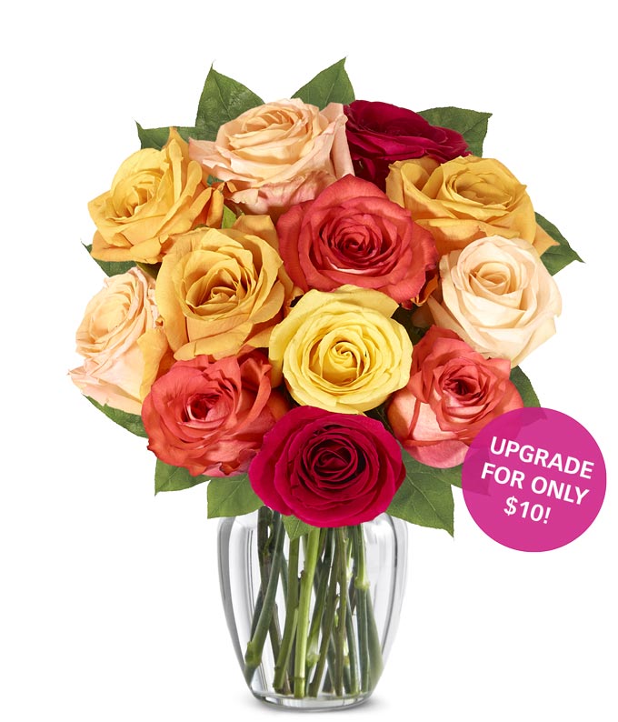 One Dozen Assorted Fall Roses
