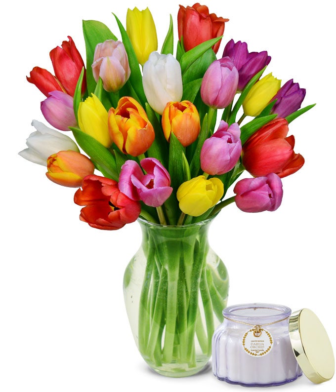 Premium Rainbow Tulip Bouquet with Free Candle