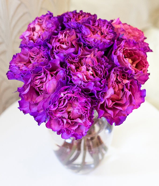One Dozen Magenta Roses in Clear Glass Vase