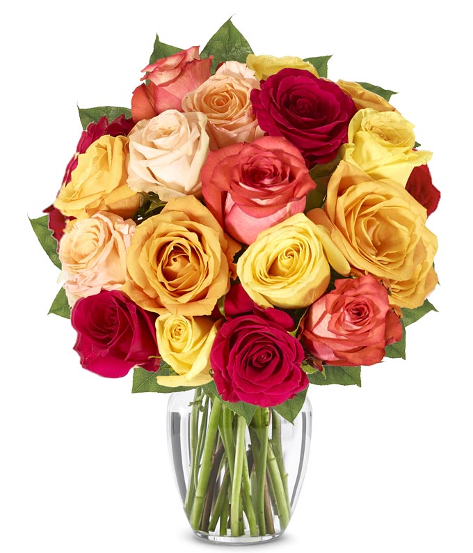 One and a Half Dozen Fall Roses