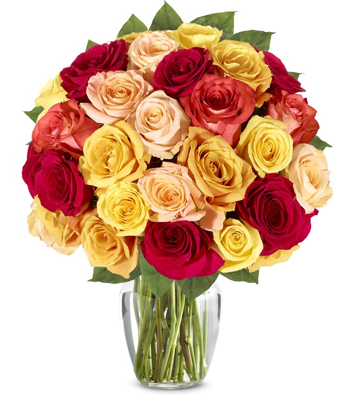 Two Dozen Fall Roses