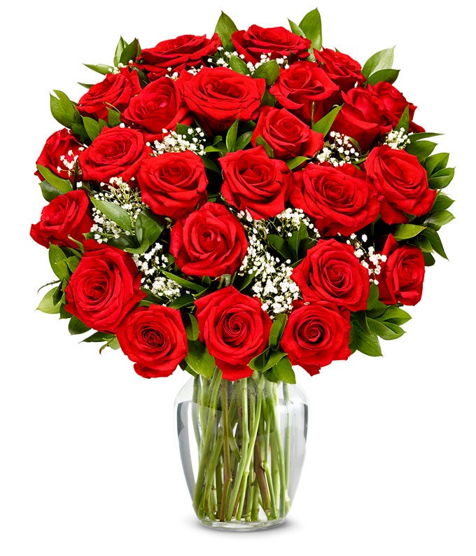 Two Dozen Long Stemmed Red Roses
