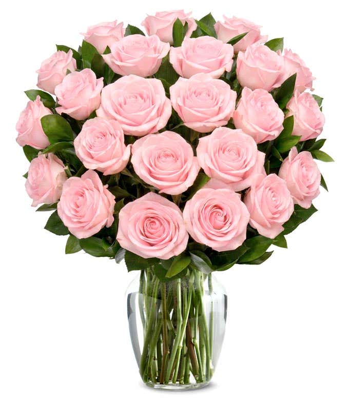 24 pink roses 