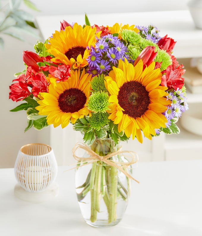 Sunflower Garden