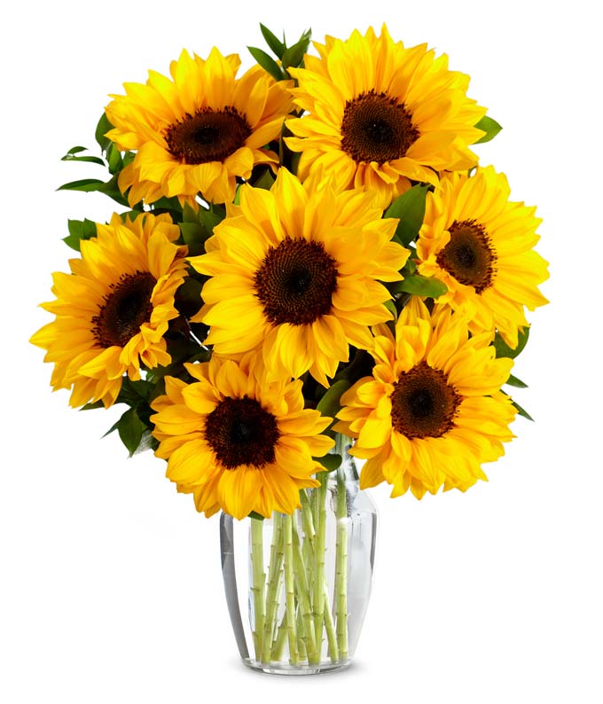 Deluxe Sunflower Bouquet