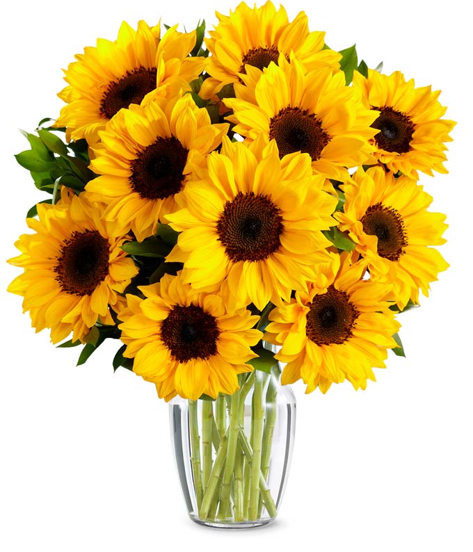 Premium Sunflower Bouquet