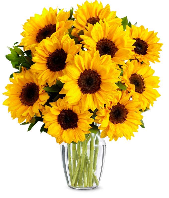 Premium Sunflower Bouquet