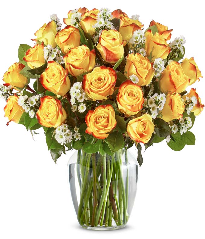 Two Dozen Festive Roses