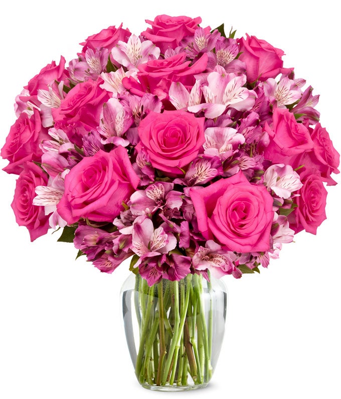 Premium Ma Chre Rose