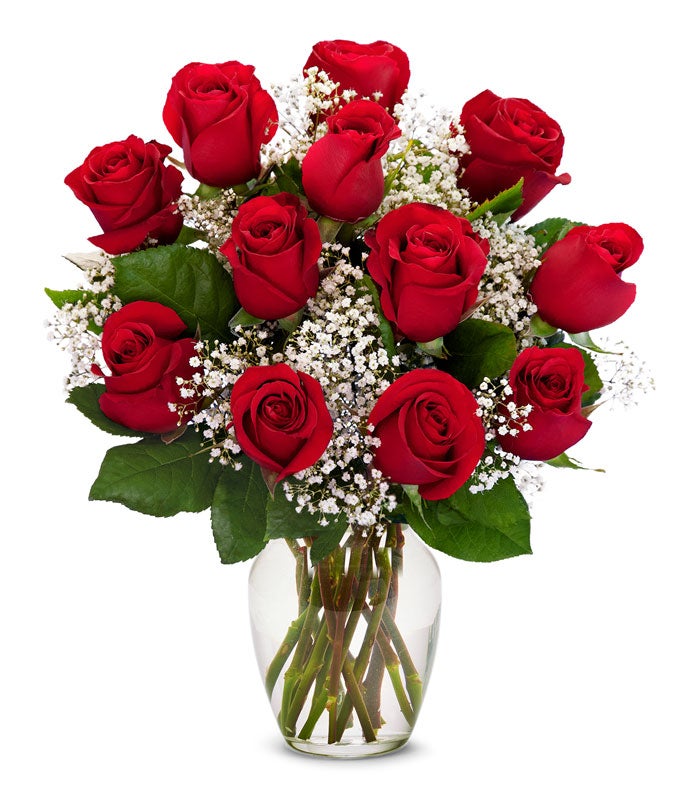 One Dozen Red Roses