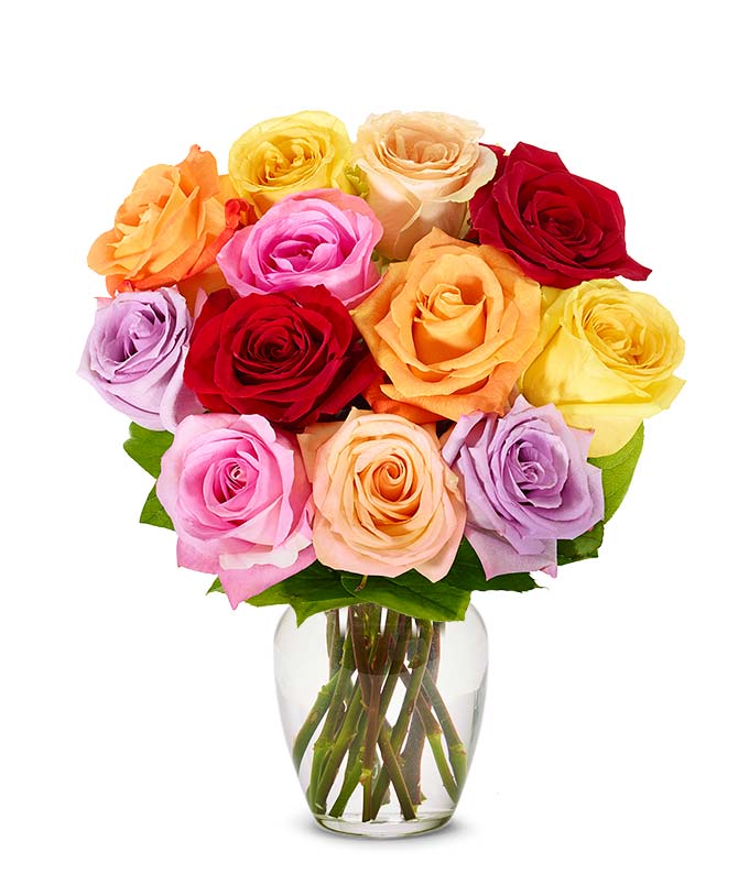 One Dozen Mixed Rainbow Roses