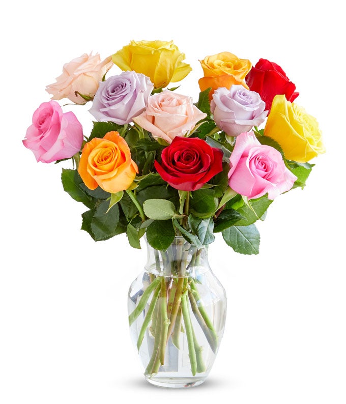 One Dozen Rainbow Roses