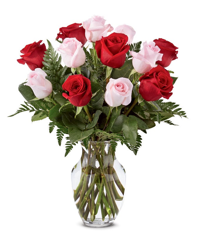 Romantic Rose Masterpiece
