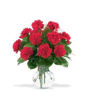 One Dozen Red Carnations