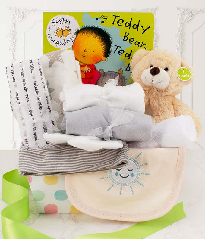 Bringing Home Baby Gift Basket - Owl