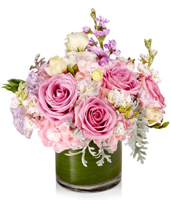 Pastel Designer's Choice