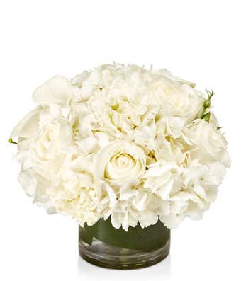 White Signature Designer's Choice