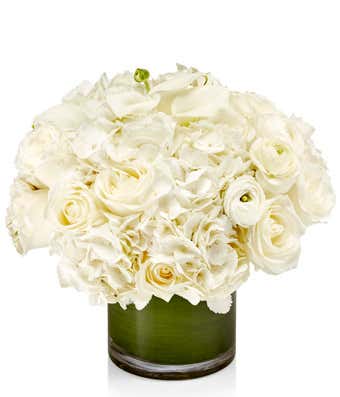 White Grand Designer's Choice