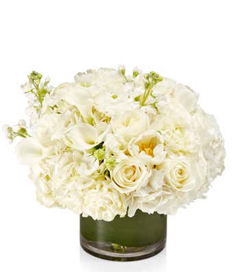 White Luxe Designer's Choice
