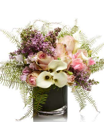 Pastel Grand Designer's Choice
