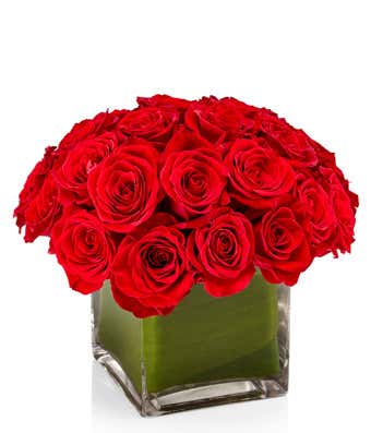 Red Rose Cube