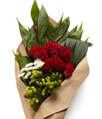 Cranberry Lime Bundle