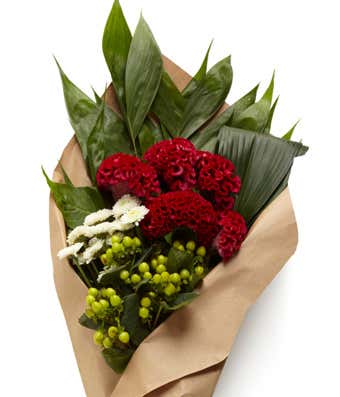 Cranberry Lime Bundle