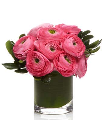 Ranunculus En Vogue