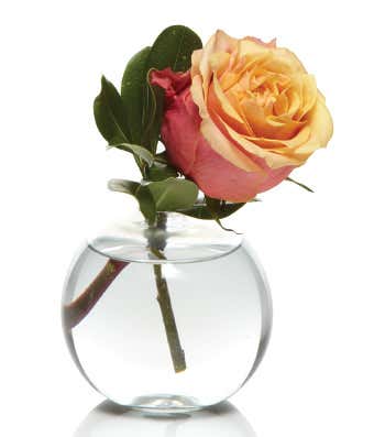Rose Bud Vase Bundle