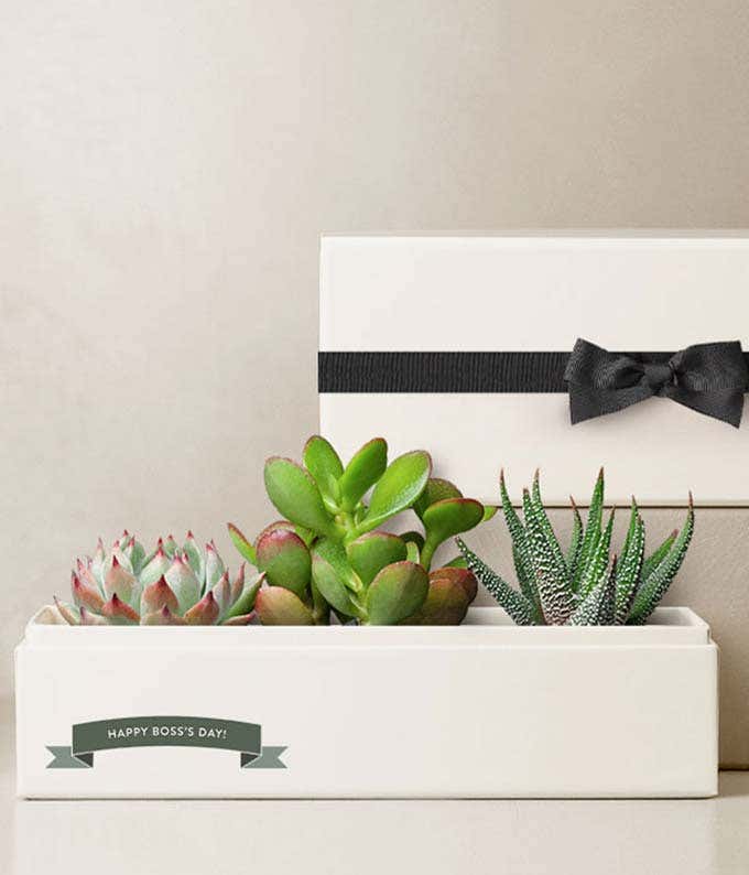 Lula's Garden ® Boss's Day Jewel