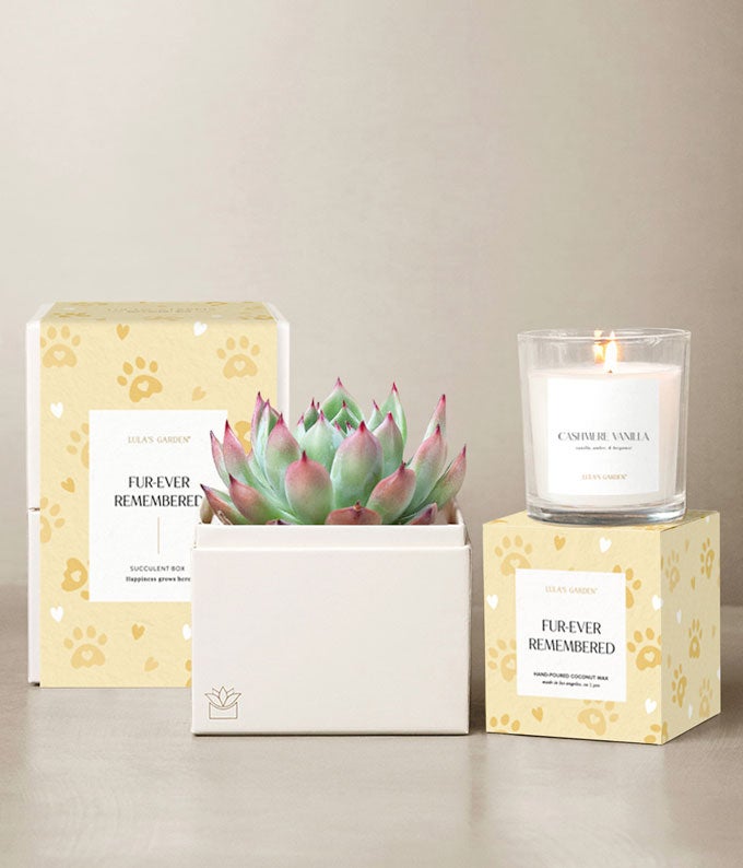 Lula's Garden  Furever Remembered Bliss Bundle