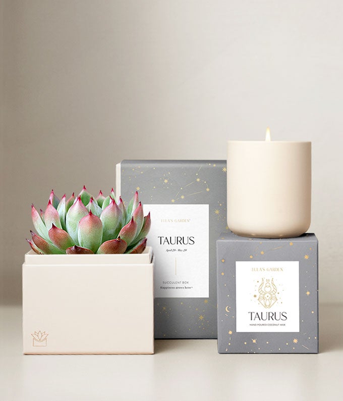 Lula's Garden  Earth Collection Taurus Succulent Set