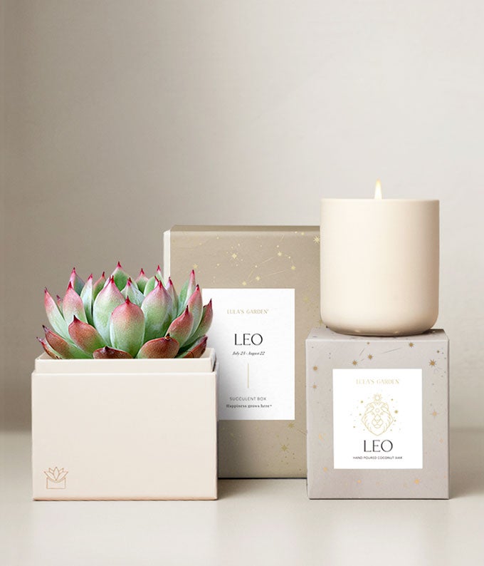 Lula's Garden  Fire Collection Leo Succulent Set