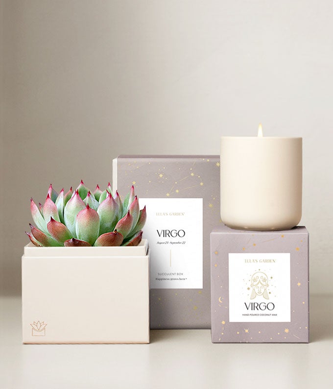 Lula's Garden Earth Collection Virgo Succulent Set