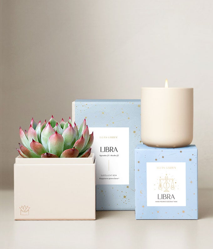 Lula's Garden  Air Collection Libra Succulent Set