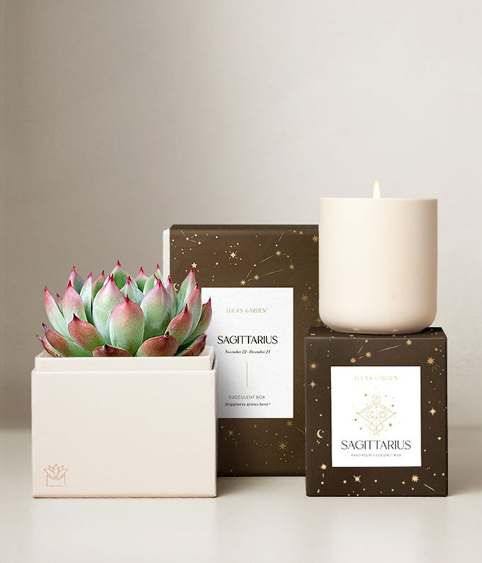 Lula's Garden  Fire Collection Sagittarius Succulent Set