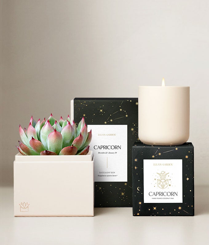 Lula's Garden  Earth Collection Capricorn Succulent Set