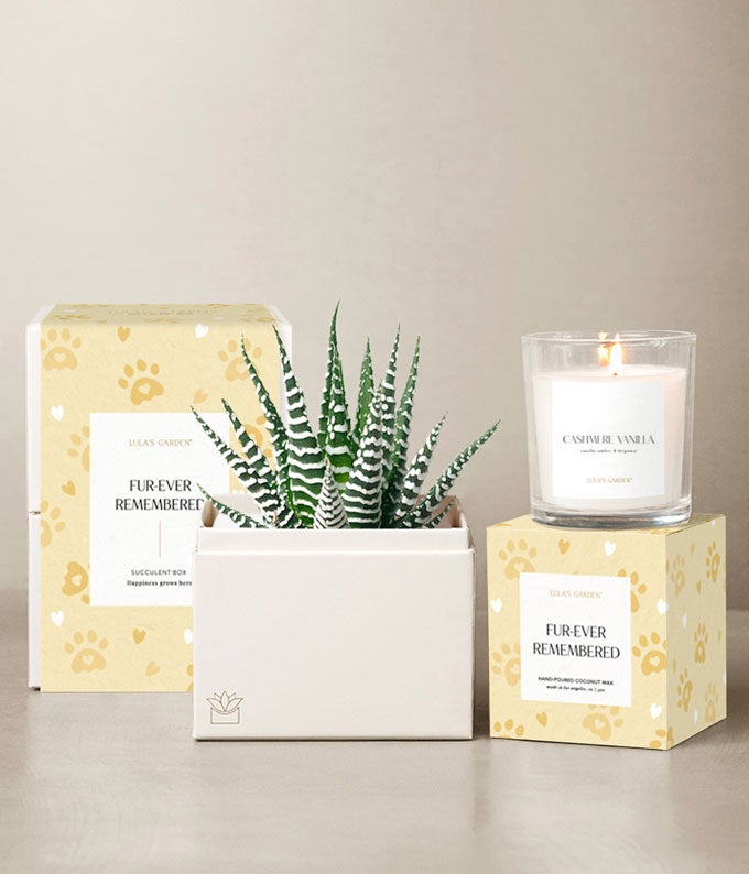 Lula's Garden  Furever Remembered Zebra Bundle