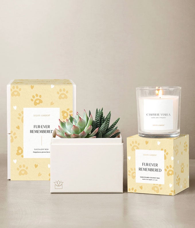 Lula's Garden  Furever Remembered Glow Bundle