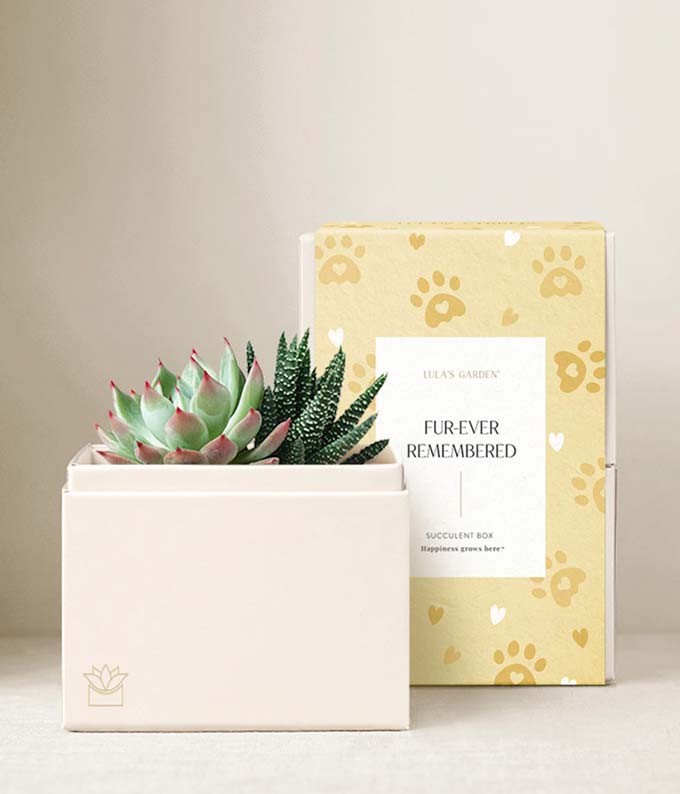 Lula's Garden  Furever Remembered Glow Garden