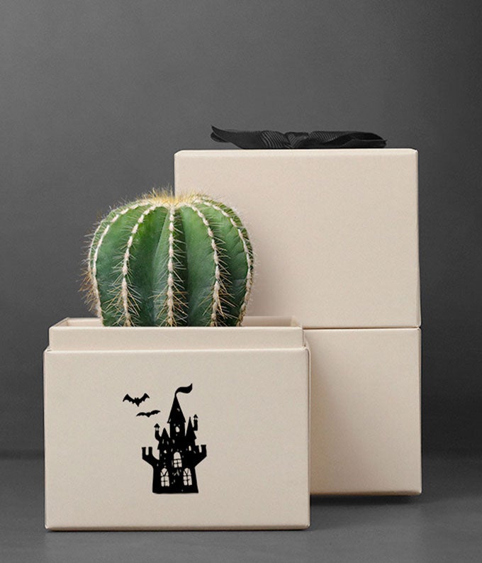Lula's Garden  Halloween Cacti