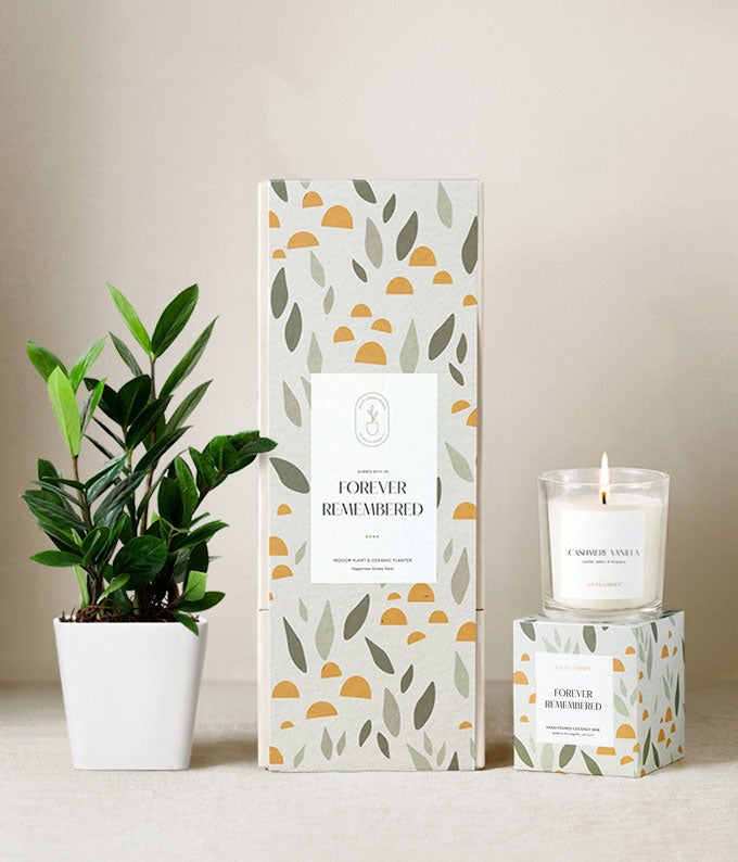Lula's Garden  Sympathy ZZ Plant Gift Set